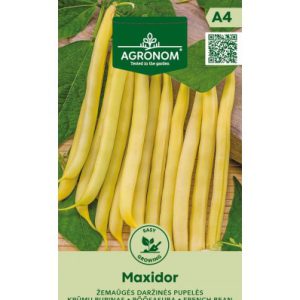 Aeduba spargeluba MAXIDOR