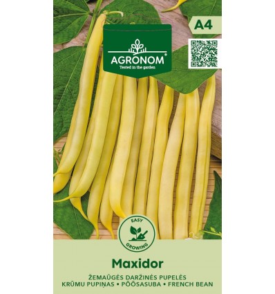 Aeduba spargeluba MAXIDOR