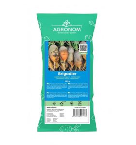 Söödapeedi seemned BRIGADIER, 100 g
