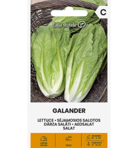 Külvisalat GALANDER