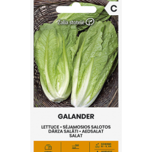 Külvisalat GALANDER