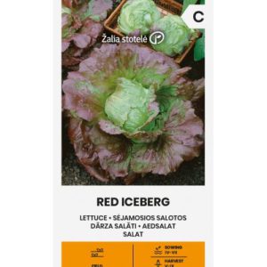 Külvisalat RED ICEBERG