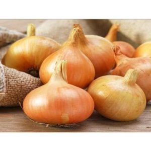 STUTTGARTER RIESEN SIBULASEEMIKUD 14/21 1KG