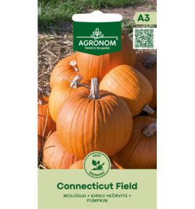 KÕRVITS CONNECTICUT FIELD