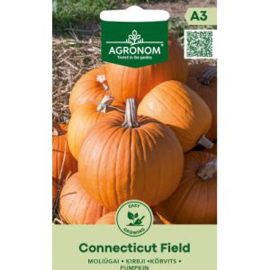 KÕRVITS CONNECTICUT FIELD