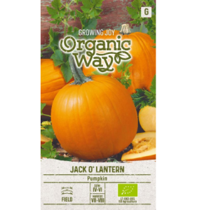 KÕRVITS JACK O’ LANTERN