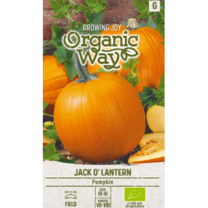 KÕRVITS JACK O’ LANTERN
