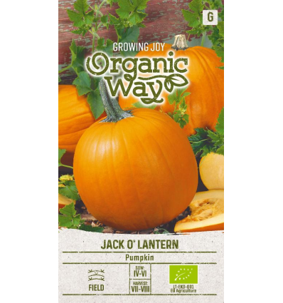 KÕRVITS JACK O’ LANTERN