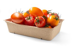 Puuviljade ja köögiviljade karp 1 kg, 10 tk