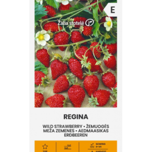 MAASIKAS „REGINA”