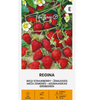 MAASIKAS „REGINA”