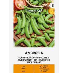 SUHKRUHERNE AMBROSIA